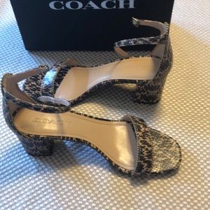 Coach Maddie Strap Sandal